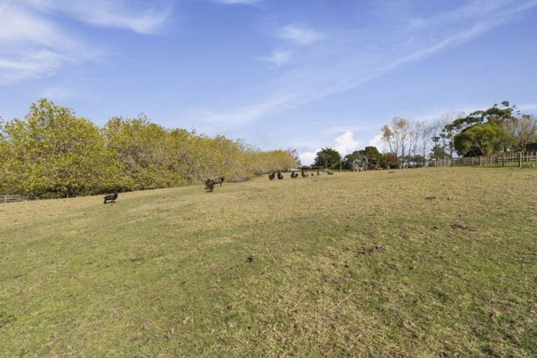 Photo of property in 115 Glenmore Road, Coatesville, Albany, 0793