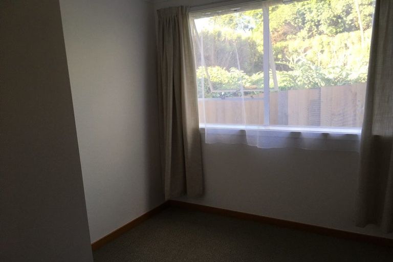 Photo of property in 17a Signal Hill Road, Opoho, Dunedin, 9010