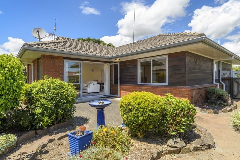 Photo of property in 8a Courtney Road, Gate Pa, Tauranga, 3112