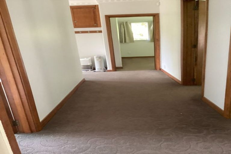 Photo of property in 3 Avon Street, Roslyn, Dunedin, 9010