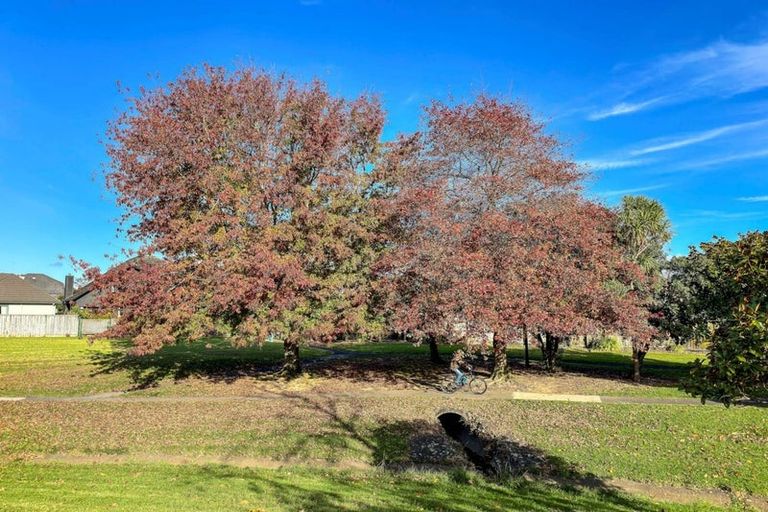 Photo of property in 52 Mirrabooka Avenue, Botany Downs, Auckland, 2010