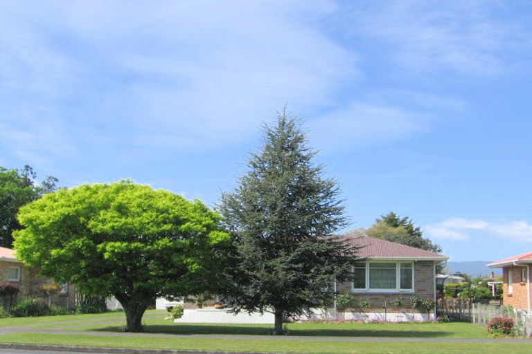 Photo of property in 29 Waharoa Road, Matamata, 3400