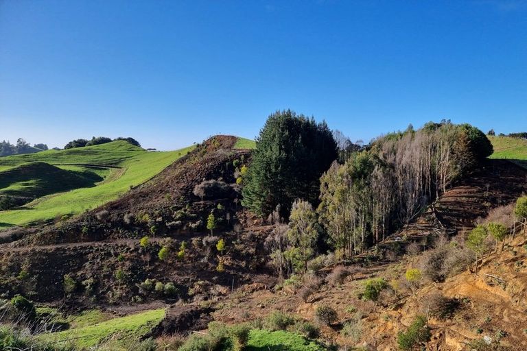 Photo of property in 597 Waitomo Valley Road, Otorohanga, 3977