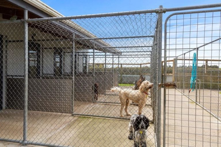 Photo of property in 575a Smart Road, Hillsborough, New Plymouth, 4372