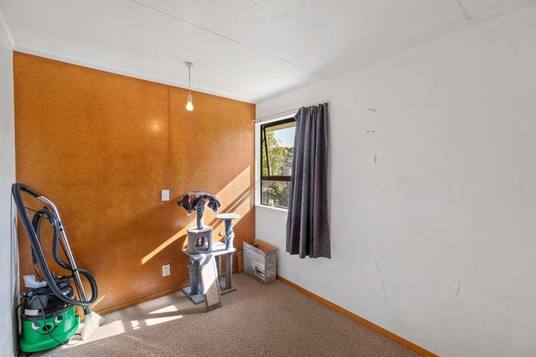 Photo of property in 9a Limbrick Street, Terrace End, Palmerston North, 4410
