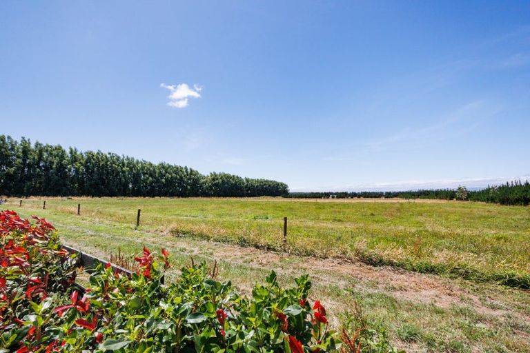 Photo of property in 269 Hoihere Road, Tiakitahuna, Palmerston North, 4477