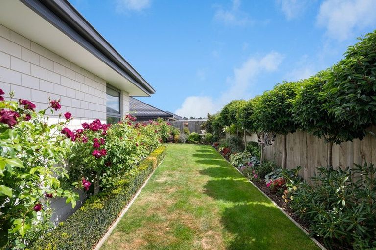 Photo of property in 4 Mustang Alley, Burleigh, Blenheim, 7201