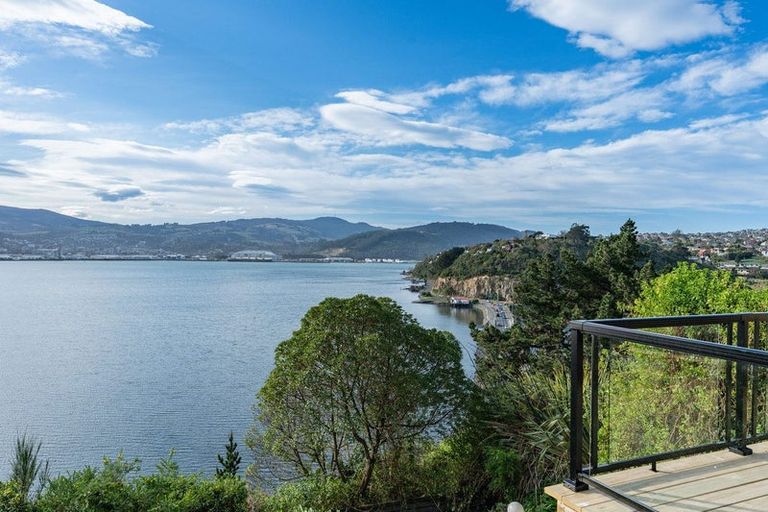 Photo of property in 20 Rewa Street, Musselburgh, Dunedin, 9013