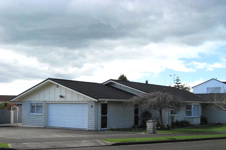 Photo of property in 3 Eden Street, Levin, 5510