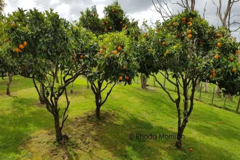 Photo of property in 43 Pahi Road, Paparoa, 0571