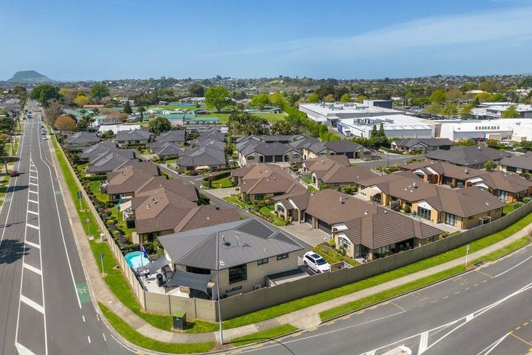 Photo of property in 38 Carmichael Road, Bethlehem, Tauranga, 3110