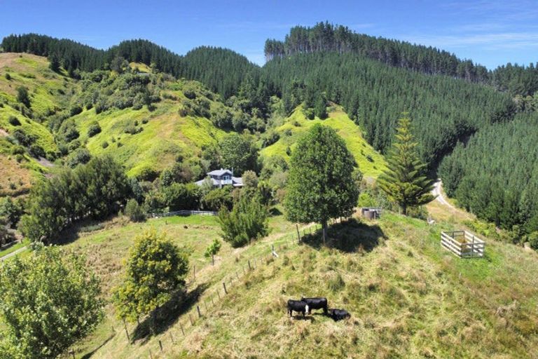 Photo of property in 1377e Manawahe Road, Manawahe, Whakatane, 3194