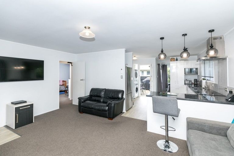 Photo of property in 392a Kahikatea Drive, Dinsdale, Hamilton, 3204