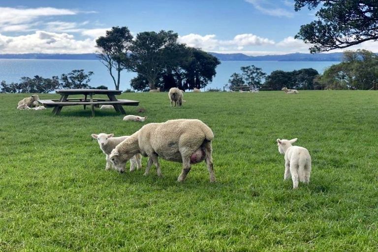 Photo of property in 12 Atalanta Way, Beachlands, Auckland, 2018