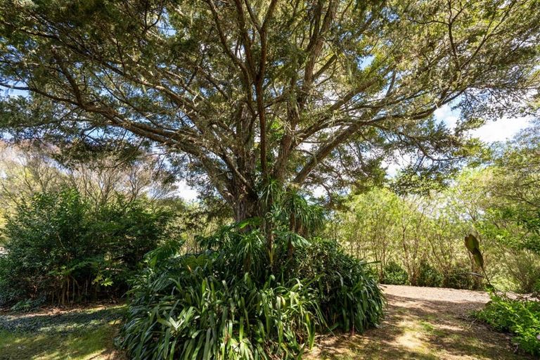 Photo of property in 3687 State Highway 12, Taheke, Kaikohe, 0473