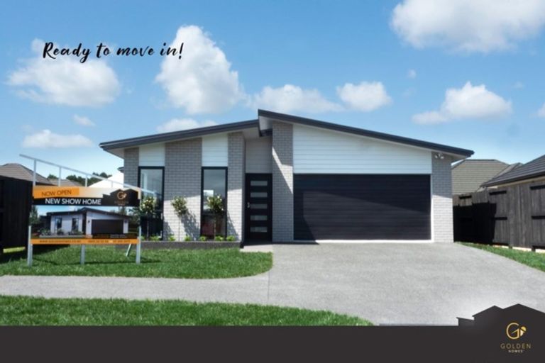 Photo of property in 209 Borman Road, Rototuna North, Hamilton, 3210