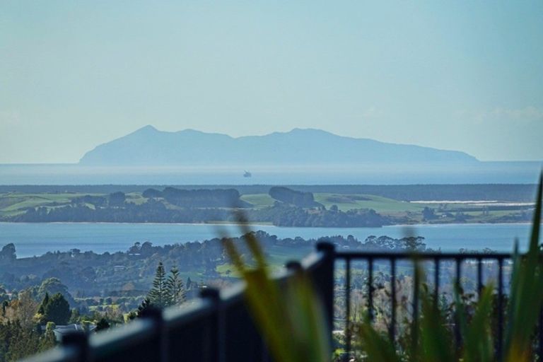 Photo of property in 175 Tim Road, Whakamarama, Tauranga, 3180