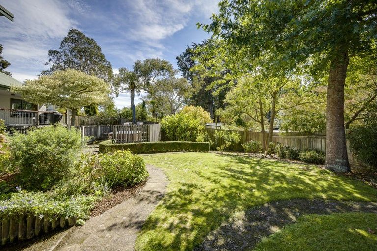 Photo of property in 45 Greenwood Road, Havelock North, 4130