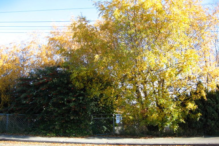 Photo of property in 29 Gordon Terrace, East Gore, Gore, 9710