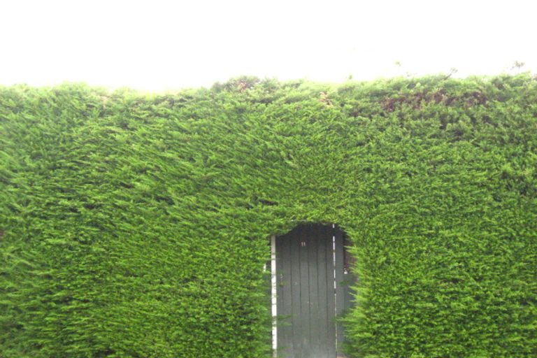 Photo of property in 11 Bay Road, Warrington, Waikouaiti, 9471