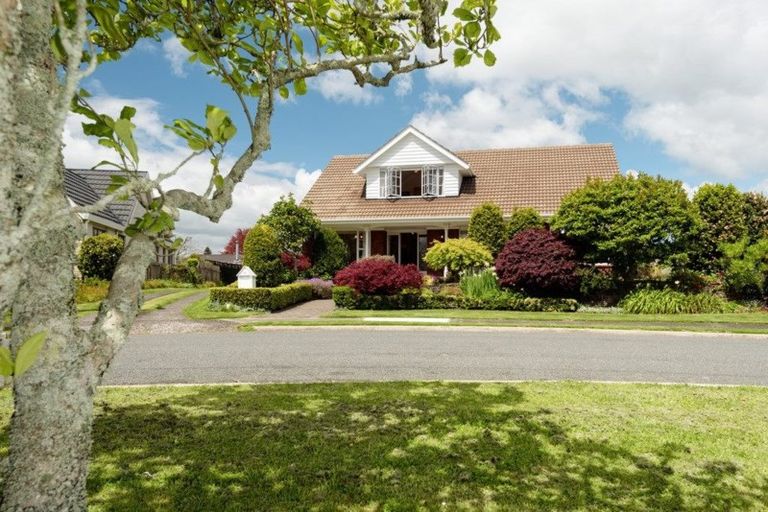 Photo of property in 17 Fenton Terrace, Te Puke, 3119