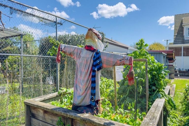 Photo of property in 11 Miro Street, Matamata, 3400