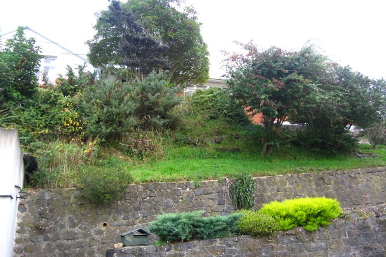 Photo of property in 44 Peter Street, Caversham, Dunedin, 9012