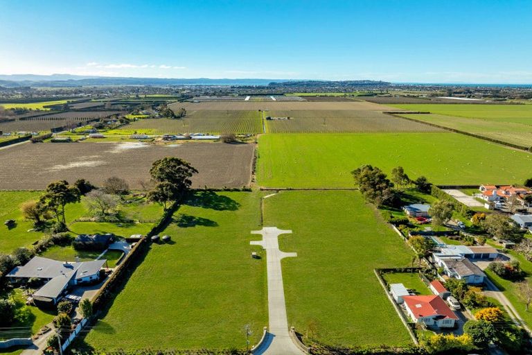 Photo of property in 234a Meeanee Road, Meeanee, Napier, 4112