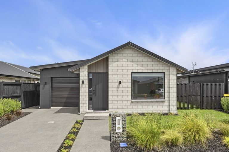 Photo of property in 17 Naismith Street, Chartwell, Hamilton, 3210