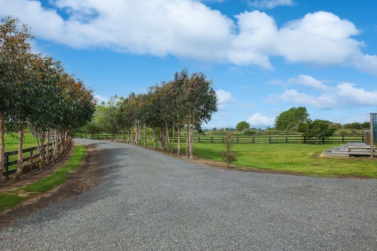 Photo of property in 125 Hickford Road, Foxton, 4893