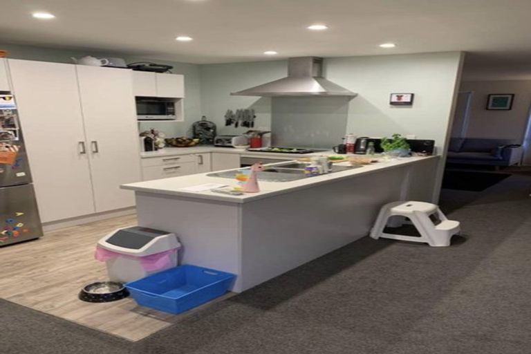 Photo of property in 16 Oxfordshire Avenue, Lower Shotover, Queenstown, 9304