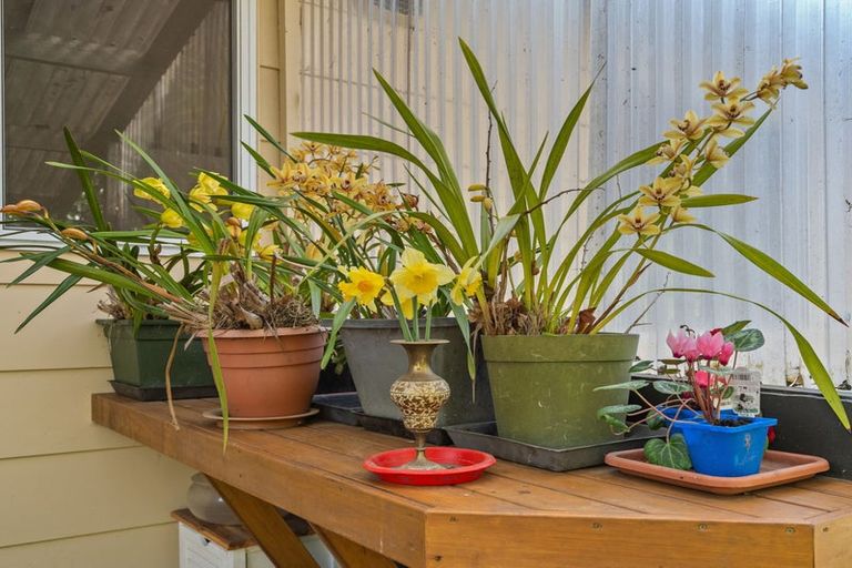 Photo of property in 52 Stansell Avenue, Tahunanui, Nelson, 7011