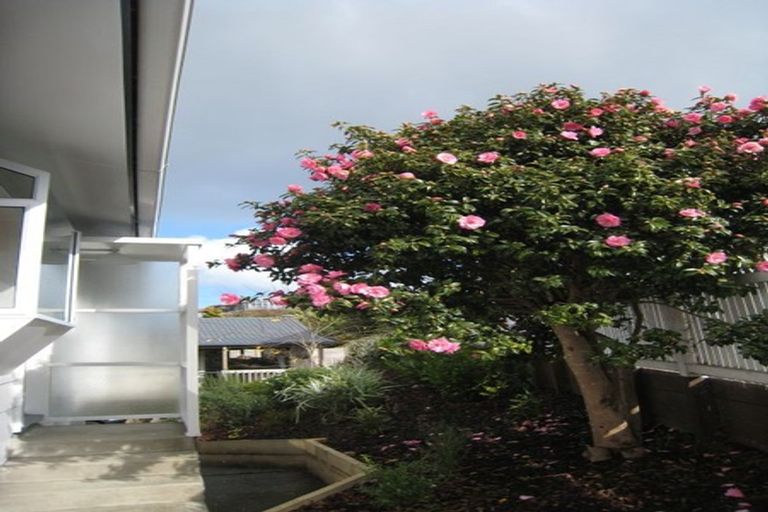 Photo of property in 17 Keegan Drive, Massey, Auckland, 0614