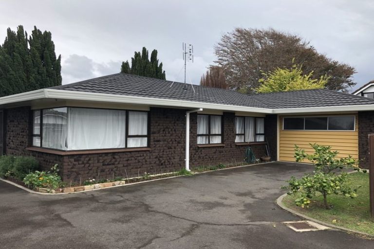 Photo of property in 111 Kings Avenue, Matua, Tauranga, 3110