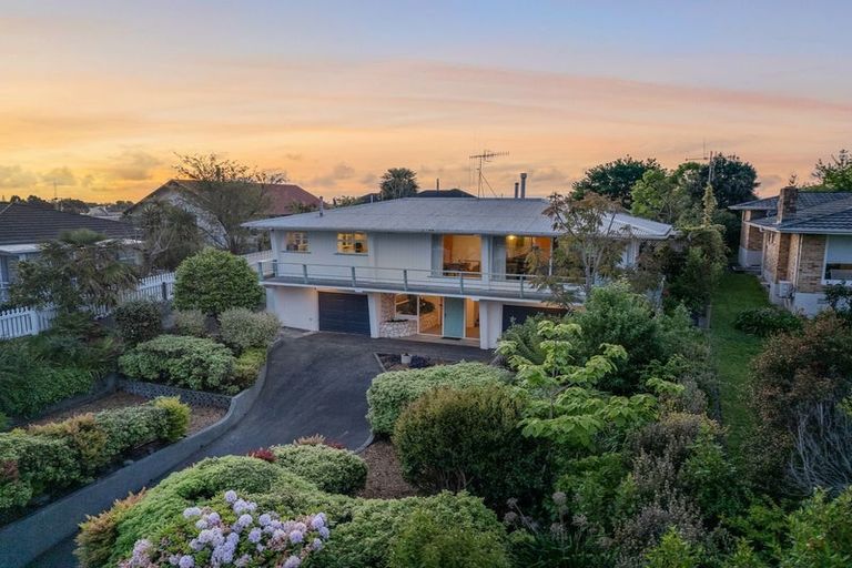 Photo of property in 115 Winchester Street, Levin, 5510