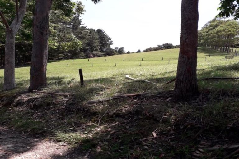 Photo of property in 246 Te Tio Road, Umawera, Okaihau, 0476