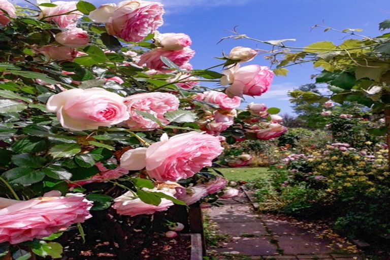 Photo of property in 5 Eleanor Place, Whakatane, 3120