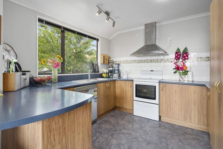 Photo of property in 118 Templemore Drive, Richmond, 7020