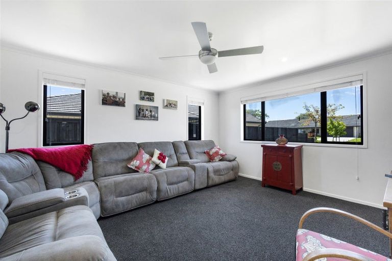 Photo of property in 31 Hampton Terrace, Matamata, 3400