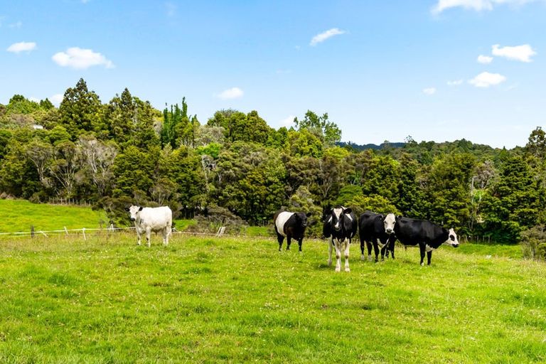 Photo of property in 274 Pigs Head Road, Whakapara, Hikurangi, 0184