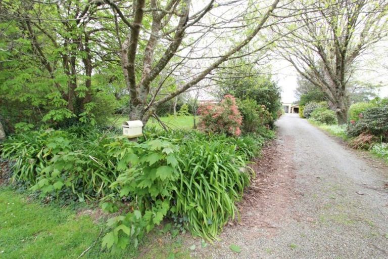 Photo of property in 15 Haswell Street, Eketahuna, 4900