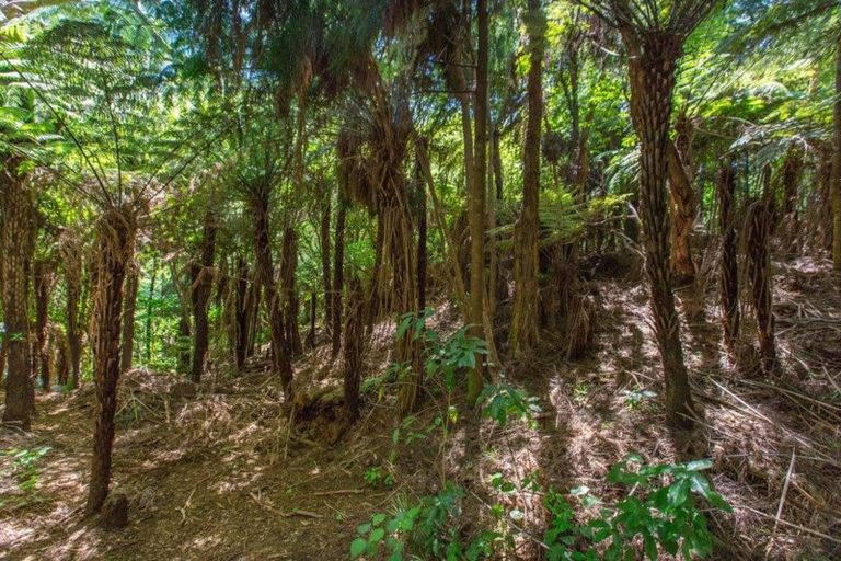 Photo of property in 22 Te Tuhi Road, Raglan, 3297