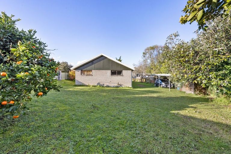 Photo of property in 6 Denz Street, Maeroa, Hamilton, 3200