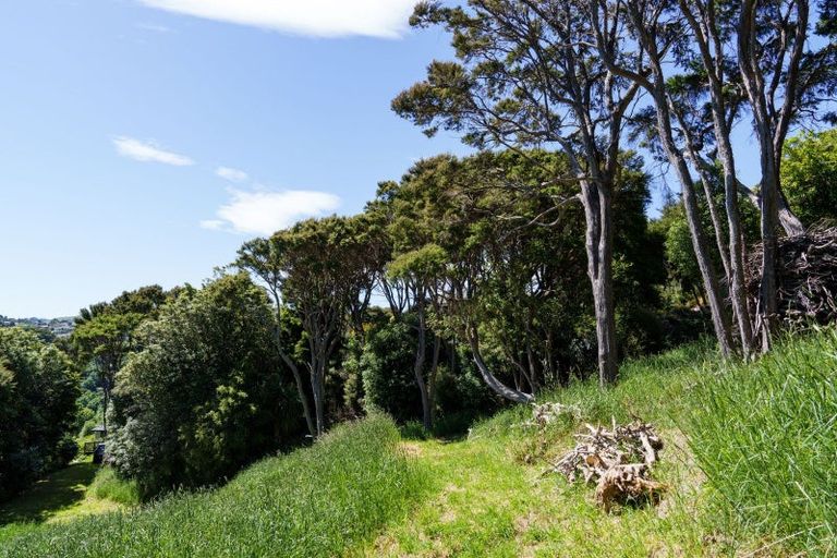 Photo of property in 24 Fred Hollows Way, Glenleith, Dunedin, 9010