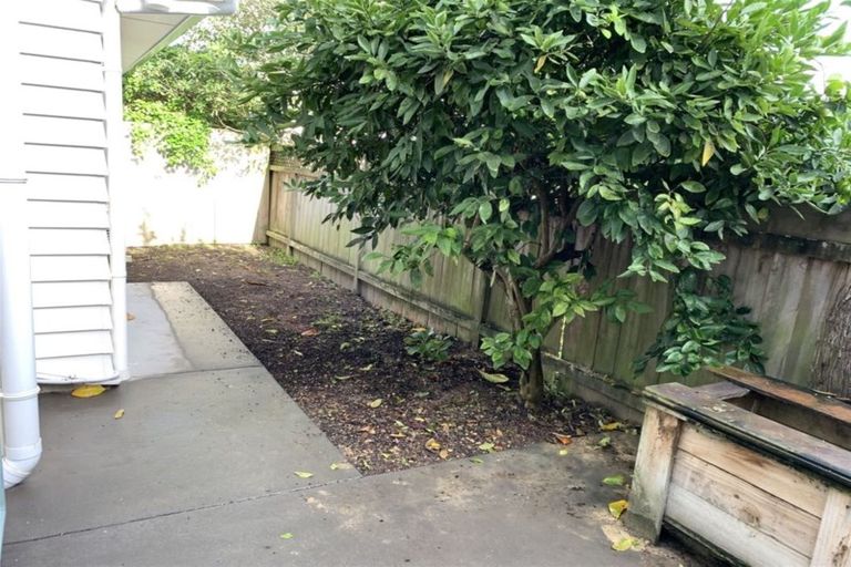 Photo of property in 28a Lloyd Avenue, Mount Albert, Auckland, 1025