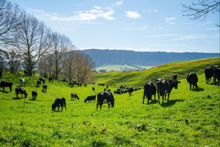 Photo of property in 385 Whirinaki Valley Road, Ngakuru, Rotorua, 3077