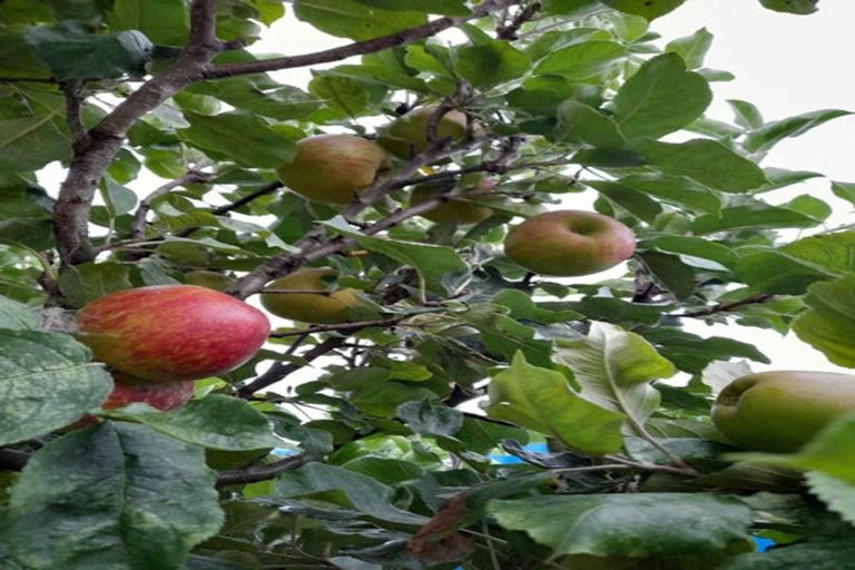 Photo of property in 10 Monmouth Place, Tamatea, Napier, 4112