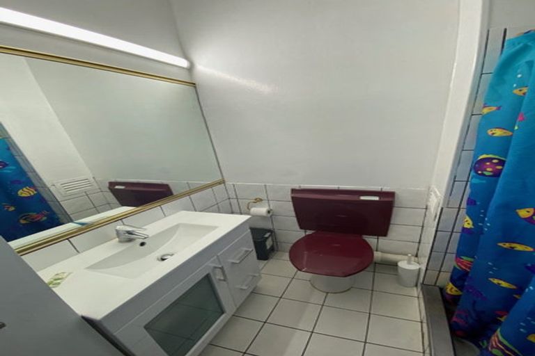 Photo of property in 113 Coromandel Street, Newtown, Wellington, 6021