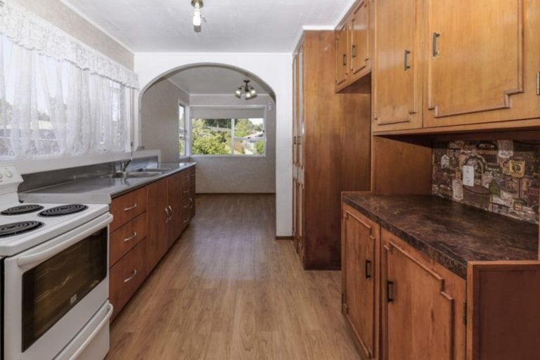 Photo of property in 38 Larissa Avenue, Henderson, Auckland, 0610