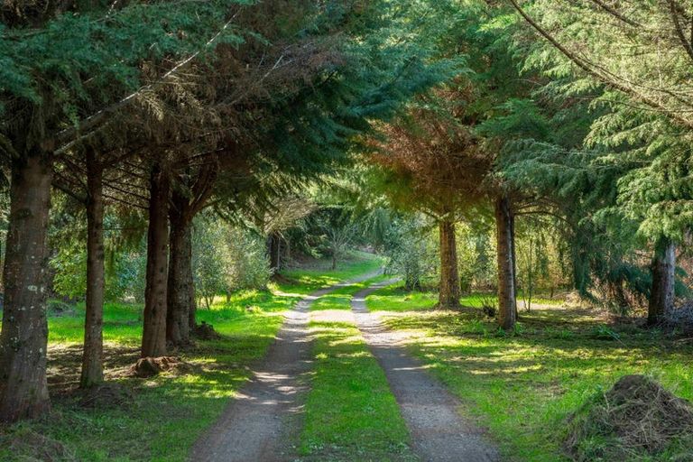 Photo of property in 514 State Highway 1, Wairakei, Taupo, 3384